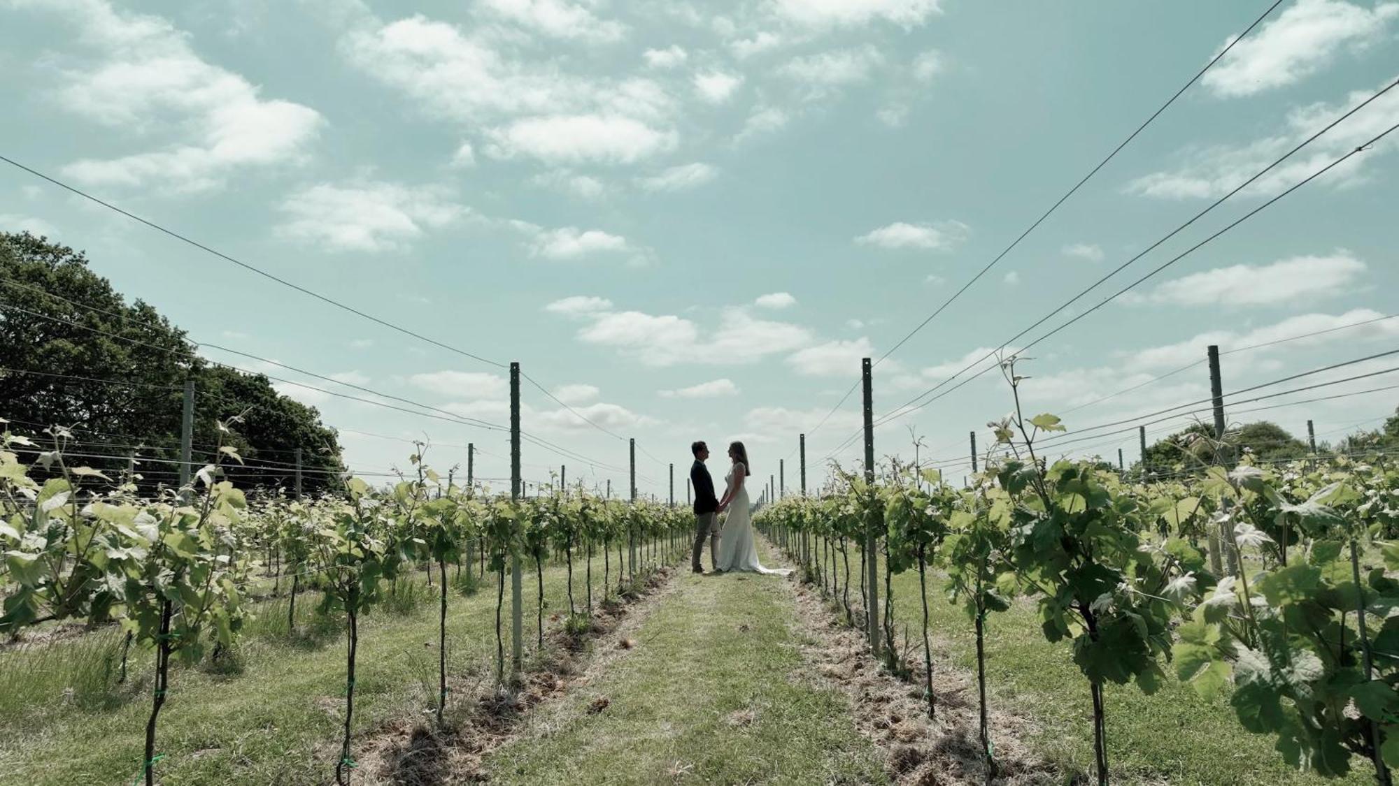 Вілла Pinkmead Estate And Vineyard Osborne  Екстер'єр фото